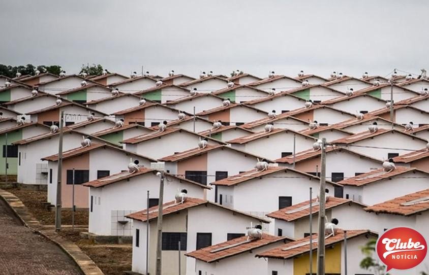 FOTO METROPOLES